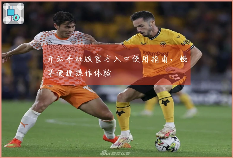 开云手机版官方入口使用指南，畅享便捷操作体验