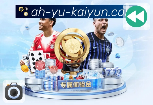 开云内容使用支持